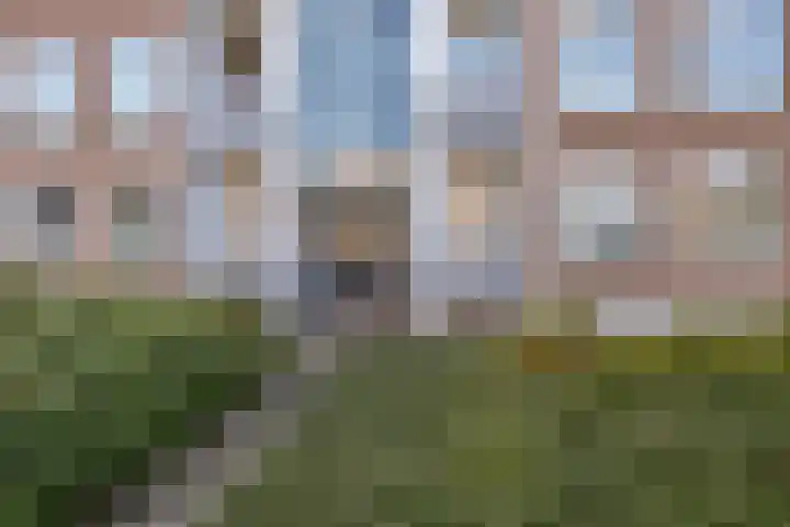 Treublaan 11 2 Arnhem thumbnail 4