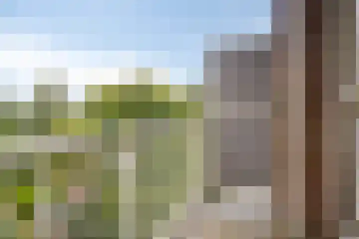 Treublaan 15 3 Arnhem thumbnail 12