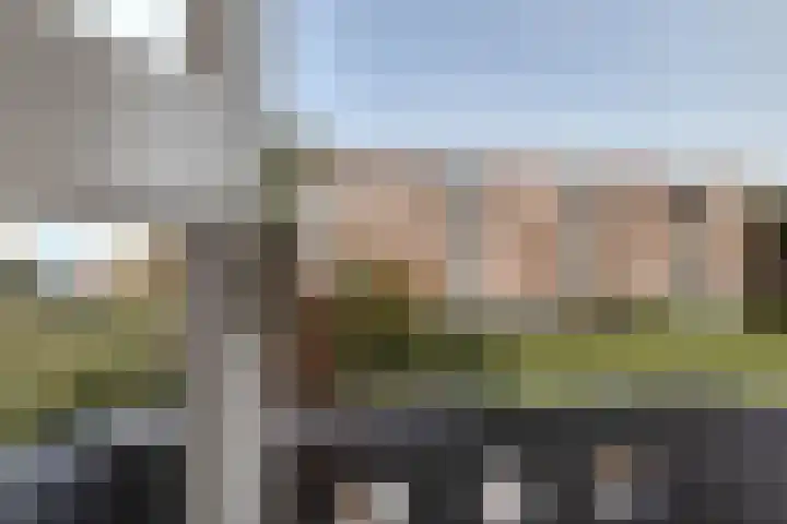 Treublaan 15 3 Arnhem thumbnail 22