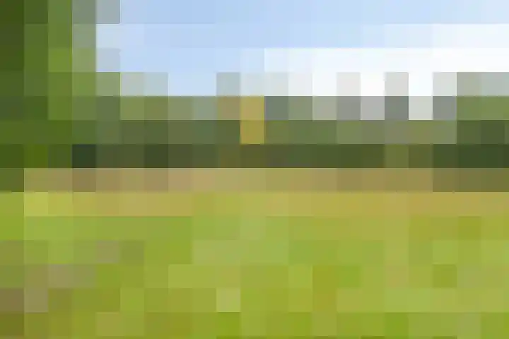 Treublaan 15 3 Arnhem thumbnail 29