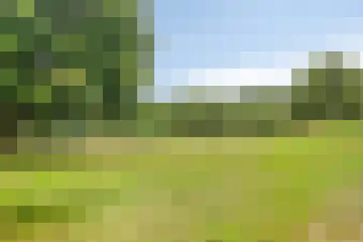 Treublaan 15 3 Arnhem thumbnail 30
