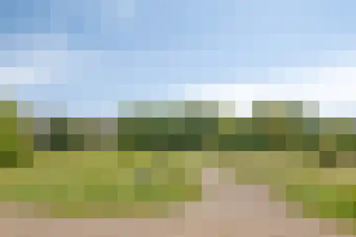 Treublaan 15 3 Arnhem thumbnail 31