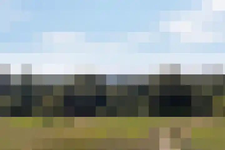 Treublaan 15 3 Arnhem thumbnail 32