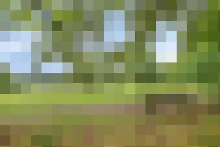 Treublaan 15 3 Arnhem thumbnail 34