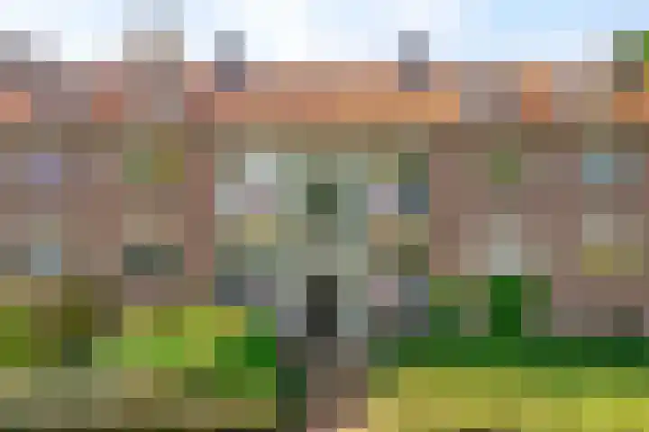 Treublaan 19 B Amersfoort thumbnail 31