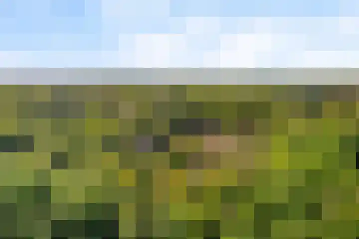 Treublaan 19 B Amersfoort thumbnail 32