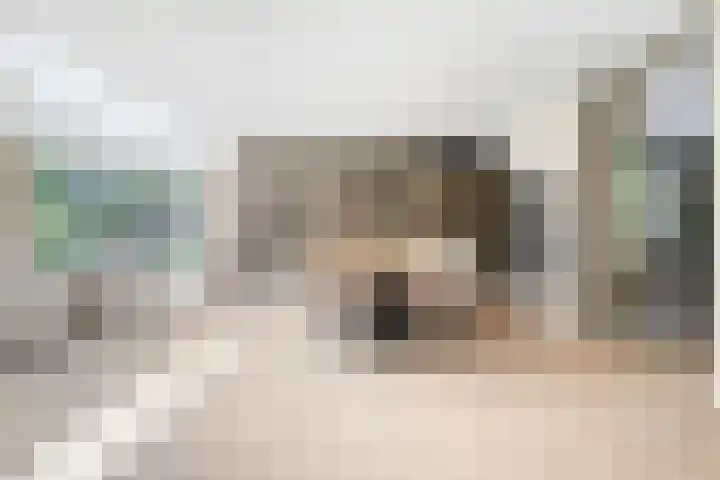 Treublaan 27 Eindhoven thumbnail 10