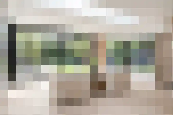 Treublaan 27 Eindhoven thumbnail 12