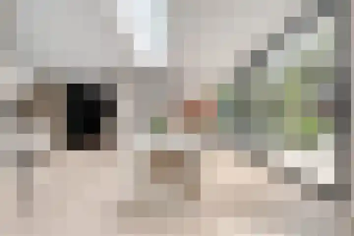 Treublaan 27 Eindhoven thumbnail 13