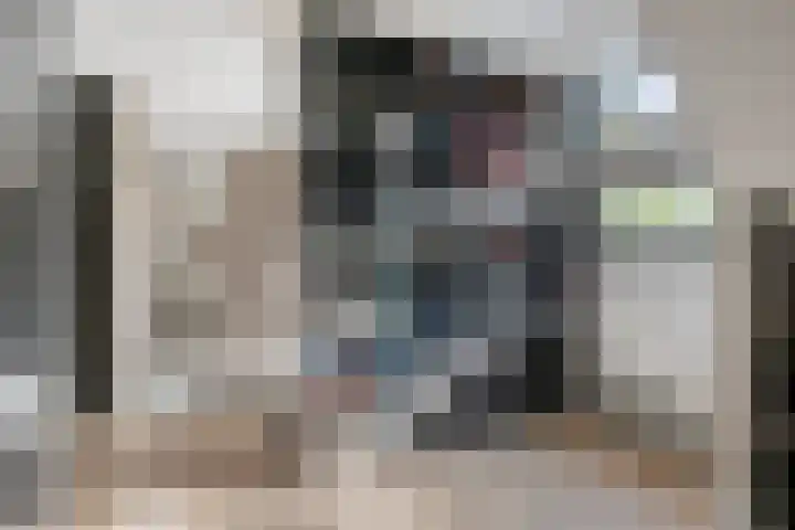 Treublaan 27 Eindhoven thumbnail 20