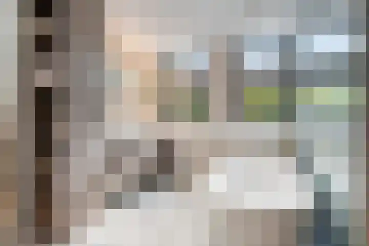Treublaan 27 Eindhoven thumbnail 21
