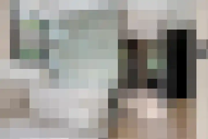 Treublaan 27 Eindhoven thumbnail 22
