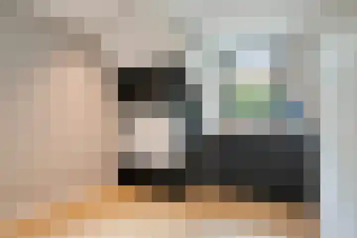 Treublaan 27 Eindhoven thumbnail 24