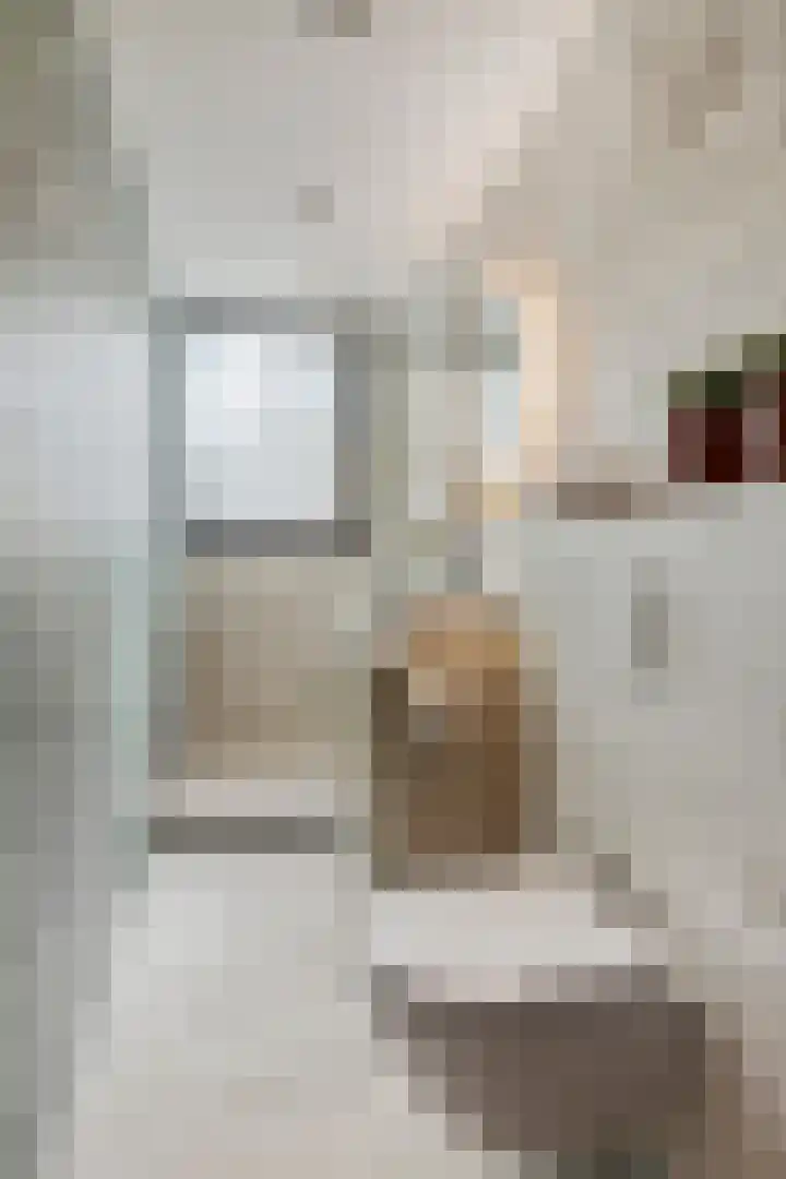 Treublaan 27 Eindhoven thumbnail 25