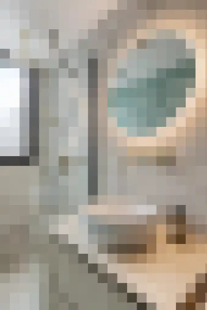 Treublaan 27 Eindhoven thumbnail 26