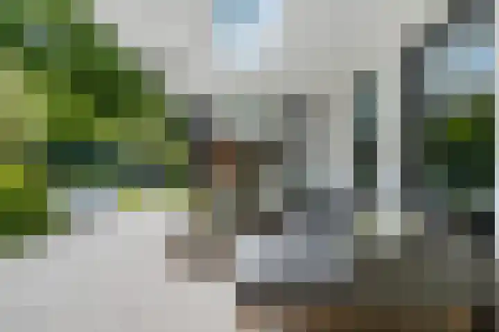 Treublaan 27 Eindhoven thumbnail 30