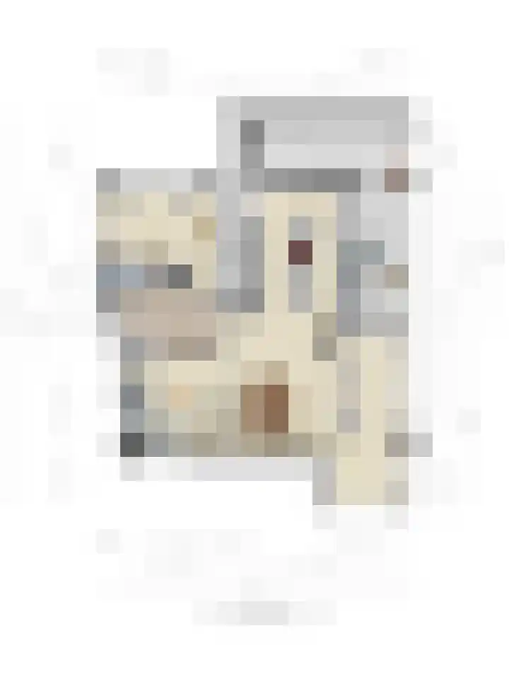 Treublaan 27 Eindhoven thumbnail 35