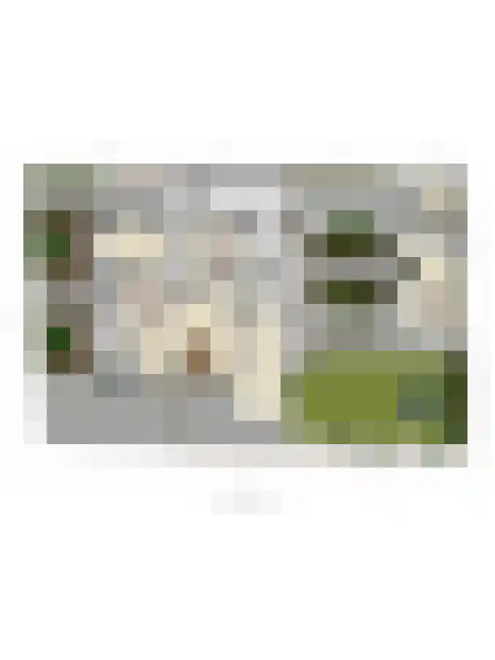 Treublaan 27 Eindhoven thumbnail 39