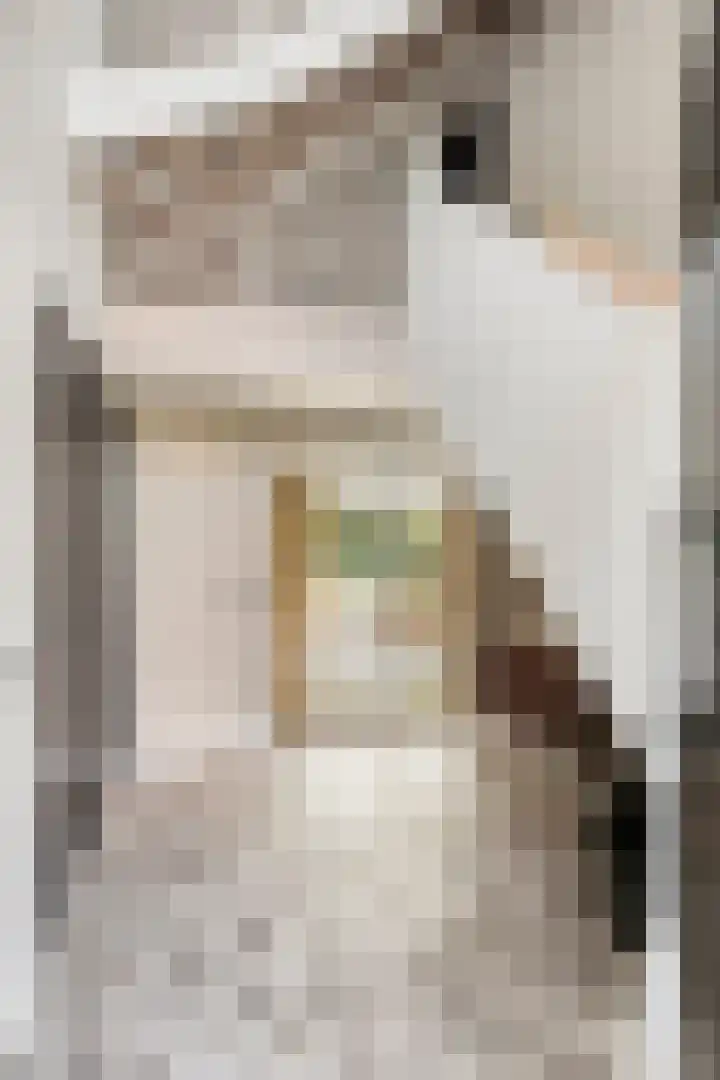 Treublaan 27 Eindhoven thumbnail 6