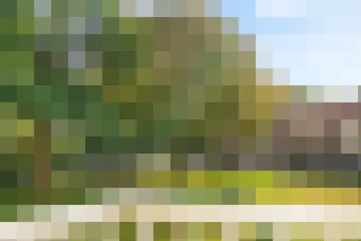 Treublaan 31 B Amersfoort thumbnail 10