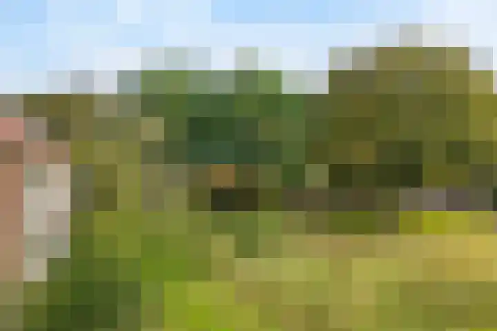 Treublaan 31 B Amersfoort thumbnail 27