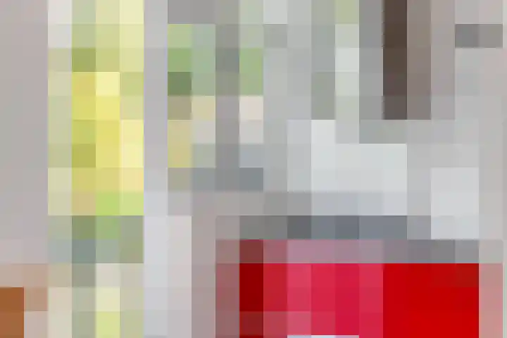 Treublaan 31 B Amersfoort thumbnail 9