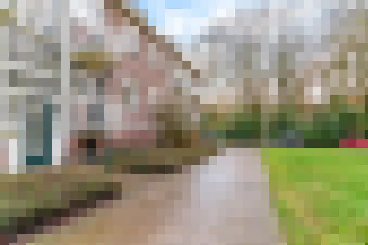 Treublaan 7 B Amersfoort thumbnail 28
