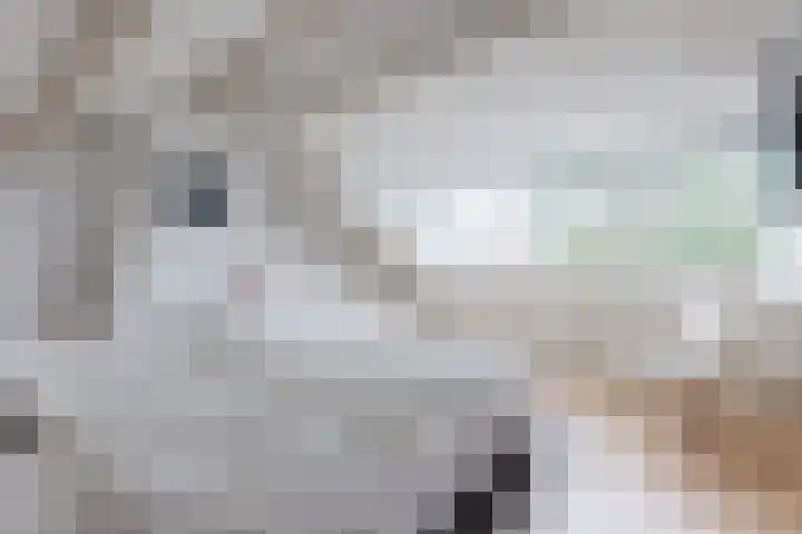 Treublaan 9 Uithoorn thumbnail 31