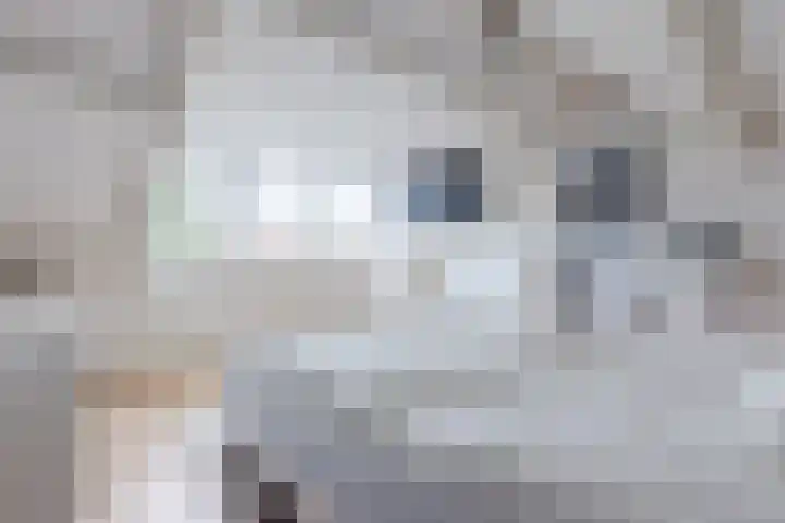 Treublaan 9 Uithoorn thumbnail 32