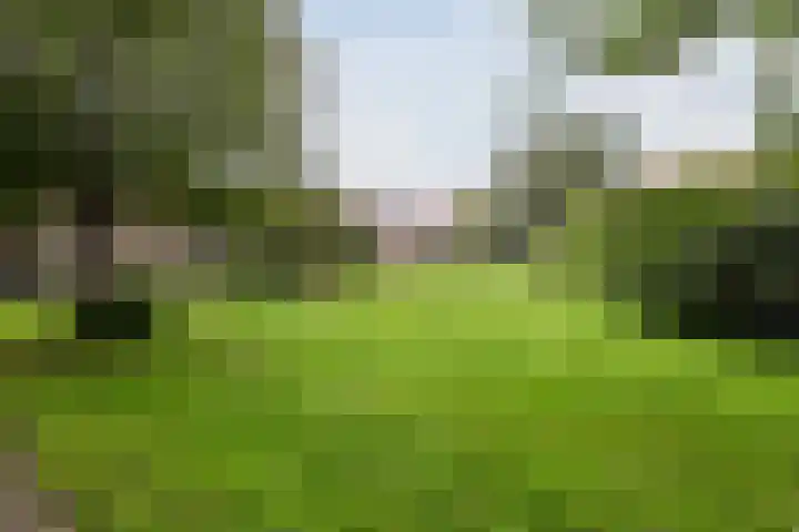 Treublaan 9 Uithoorn thumbnail 43