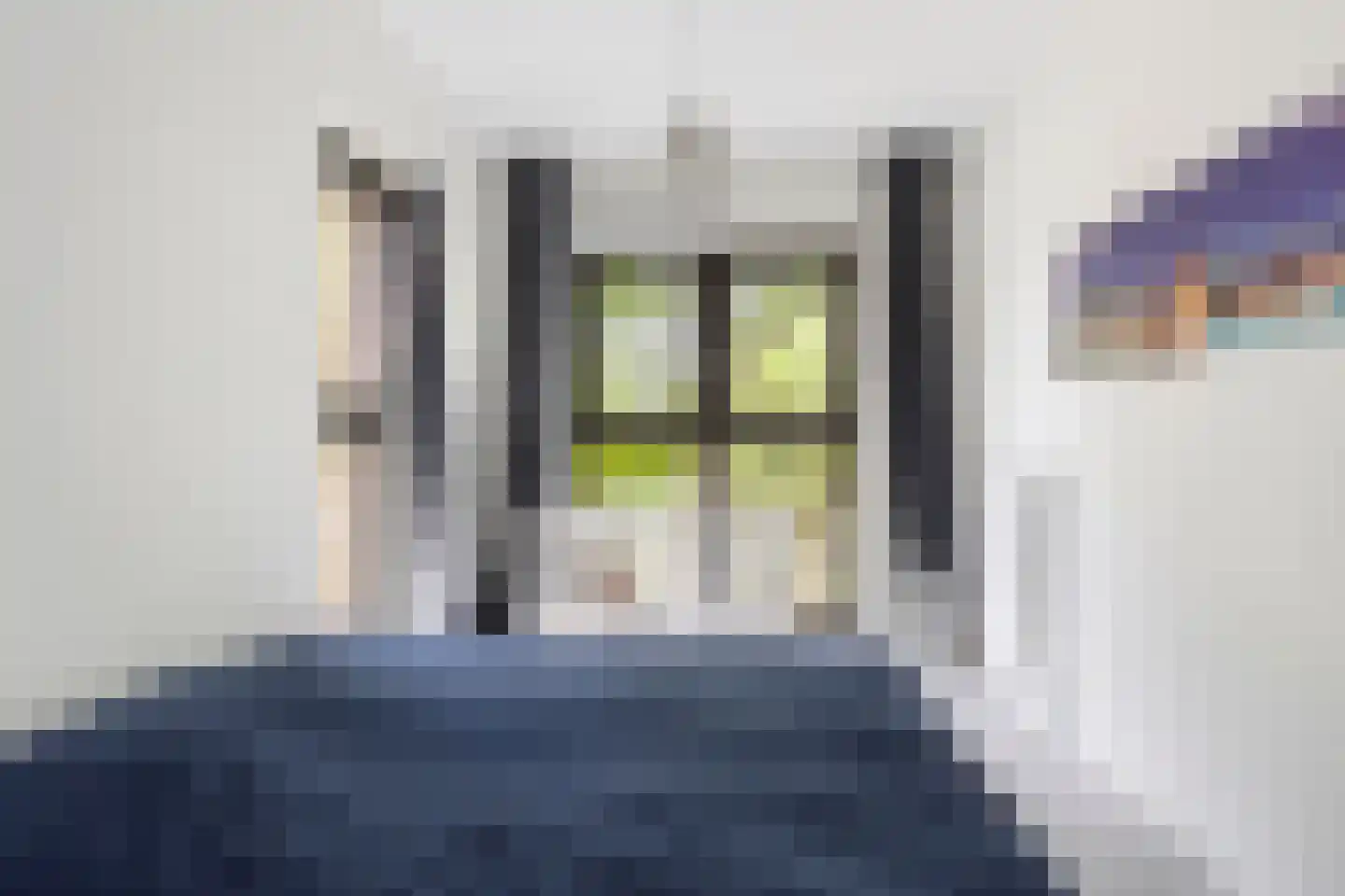 Treubstraat 10 F001 Rijswijk thumbnail 12