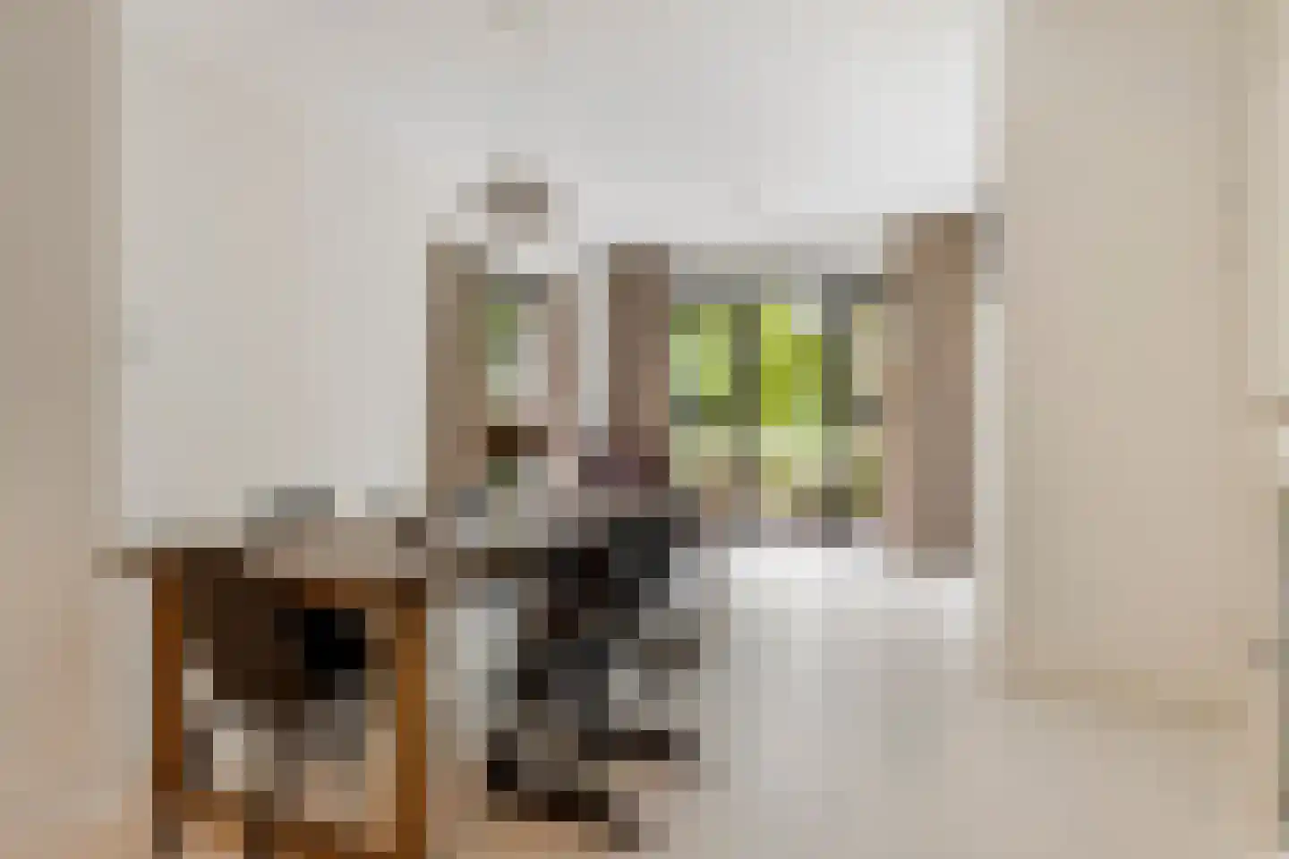 Treubstraat 10 F001 Rijswijk thumbnail 6
