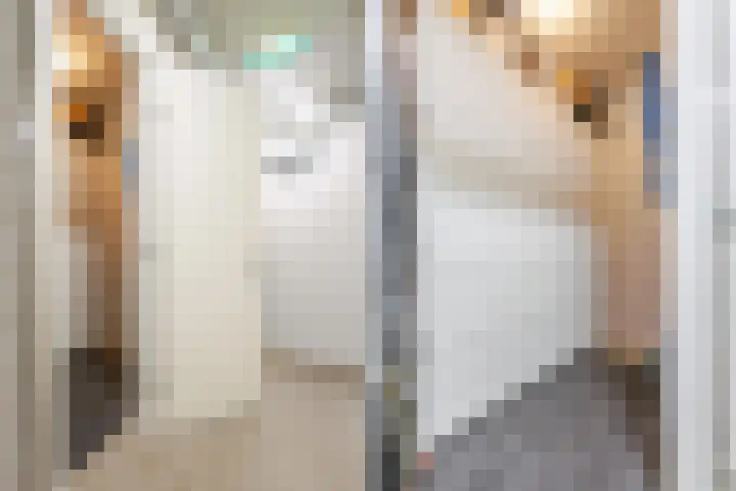 Treubstraat 10 F004 Rijswijk thumbnail 30