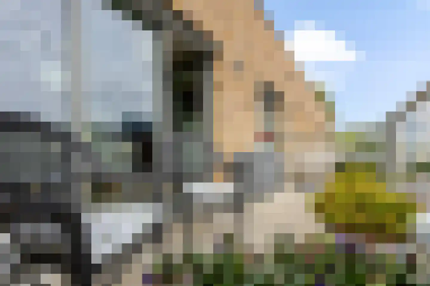 Treubstraat 10 F004 Rijswijk thumbnail 9