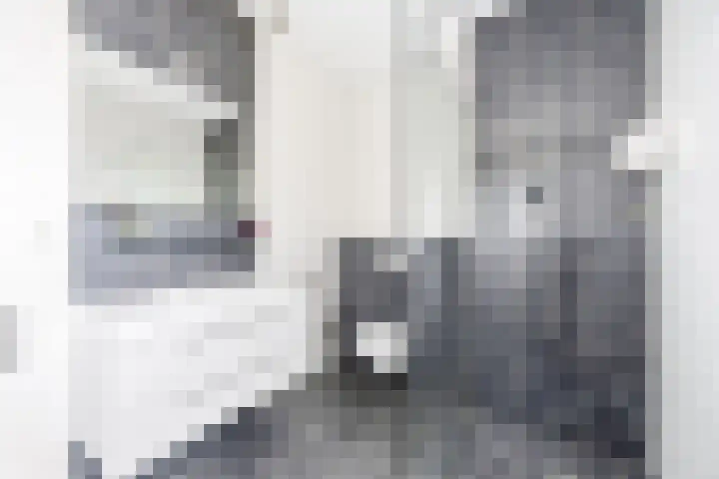 Treubstraat 10 F011 Rijswijk thumbnail 17