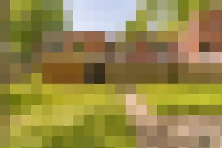 Treubstraat 107 Nunspeet thumbnail 5
