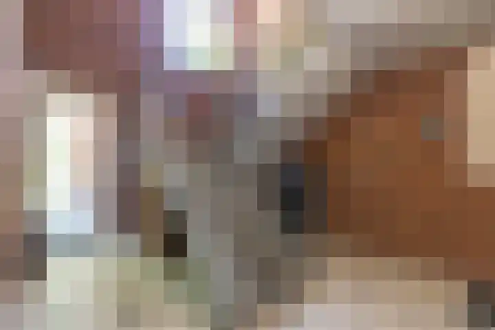 Treubstraat 107 Nunspeet thumbnail 7