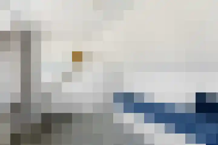Treubstraat 13 Alblasserdam thumbnail 35