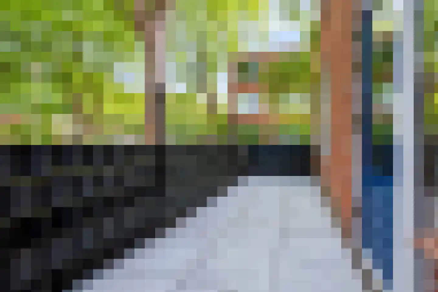 Treubstraat 179 Nunspeet thumbnail 23