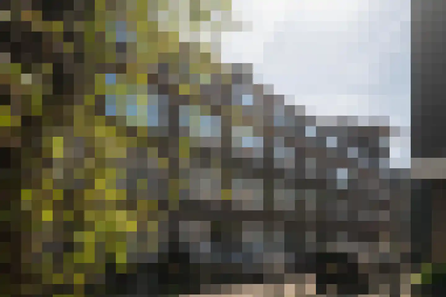 Treubstraat 18 B 02 Rotterdam thumbnail 21