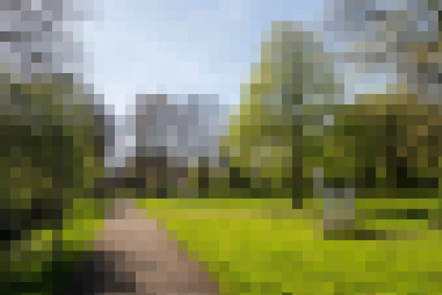 Treubstraat 18 B 02 Rotterdam thumbnail 24