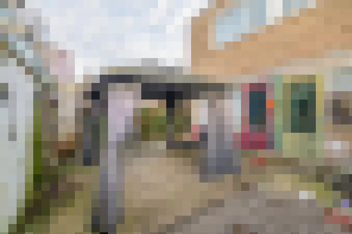 Treubstraat 18 Dordrecht thumbnail 29