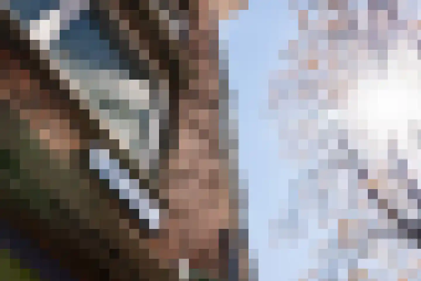 Treubstraat 20 A Rotterdam thumbnail 29