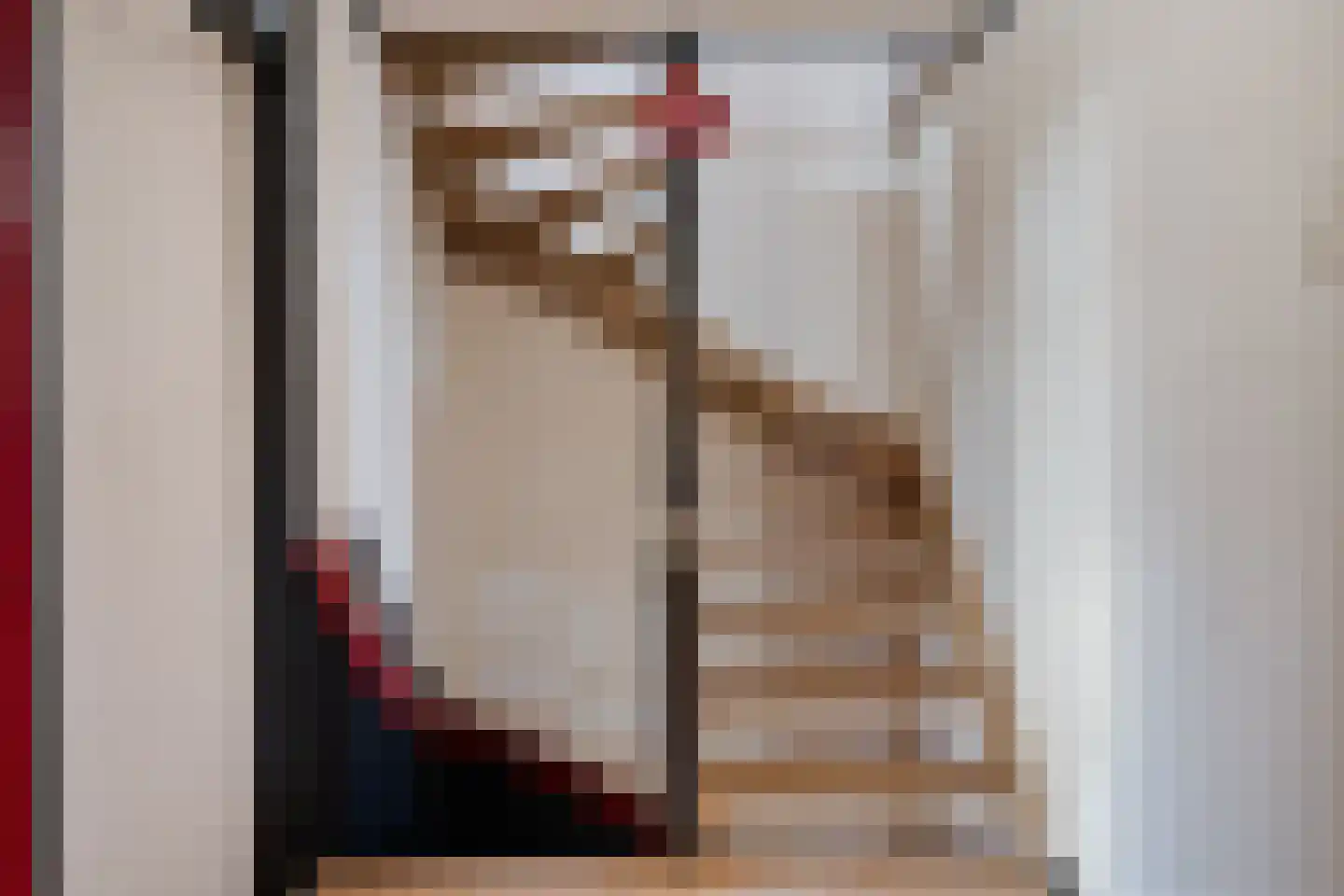Treubstraat 21 Assen thumbnail 17
