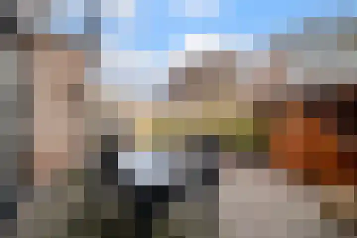 Treubstraat 24 Meppel thumbnail 34