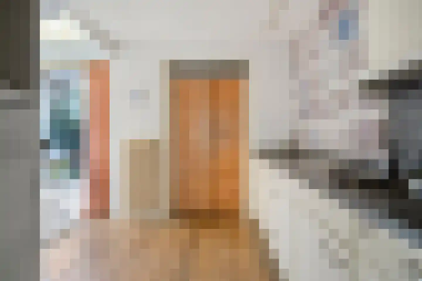 Treubstraat 29 Assen thumbnail 15
