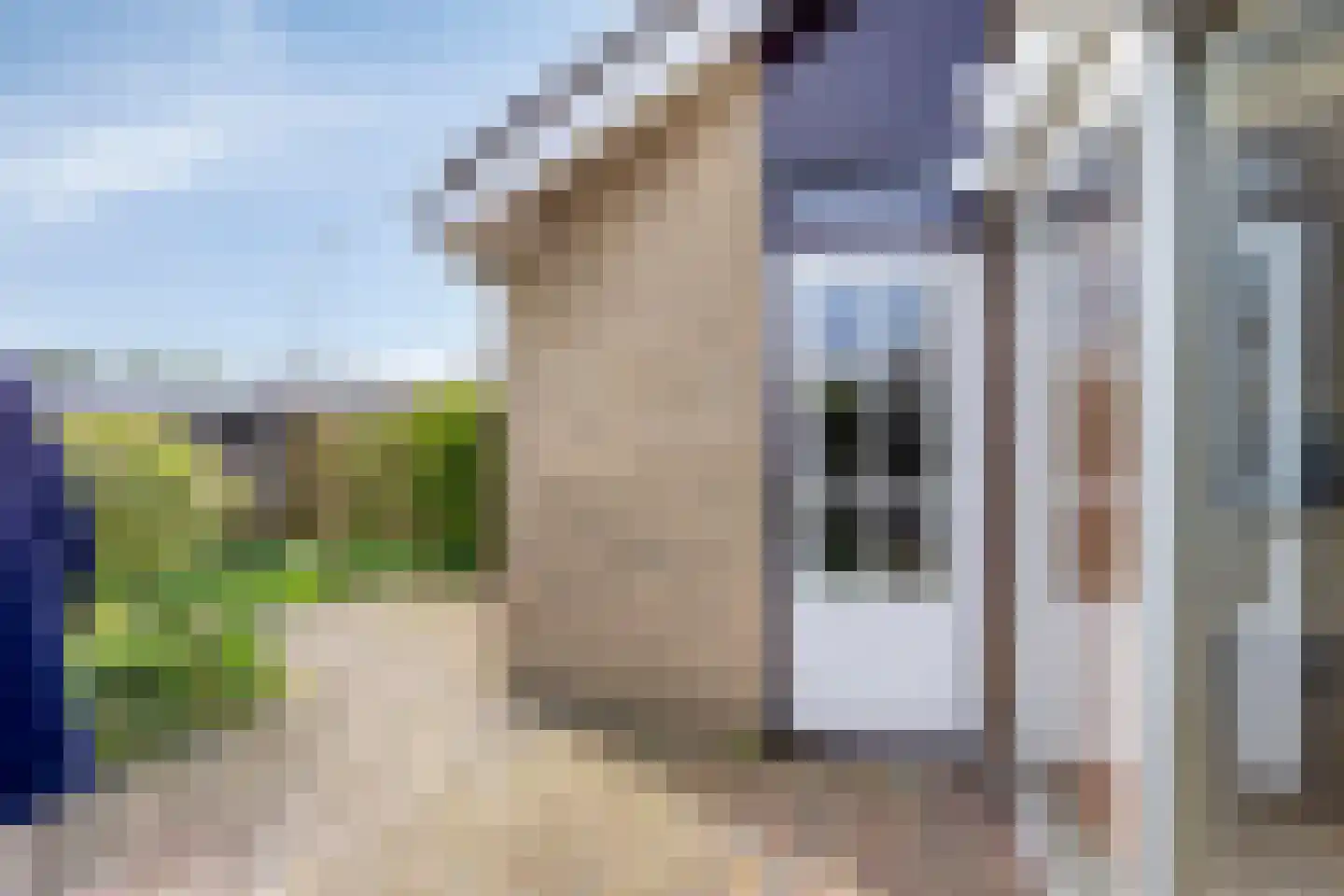 Treubstraat 29 Assen thumbnail 18