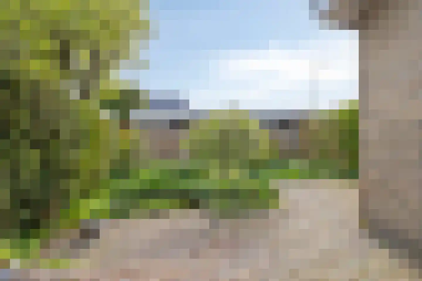 Treubstraat 29 Assen thumbnail 19
