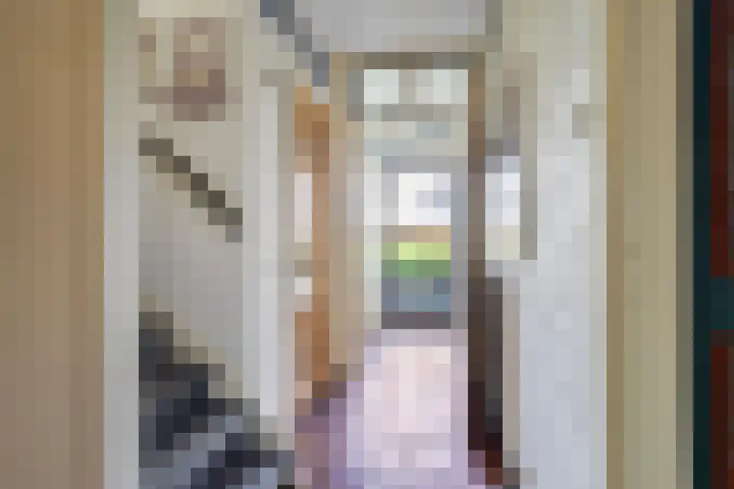 Treubstraat 29 Assen thumbnail 24