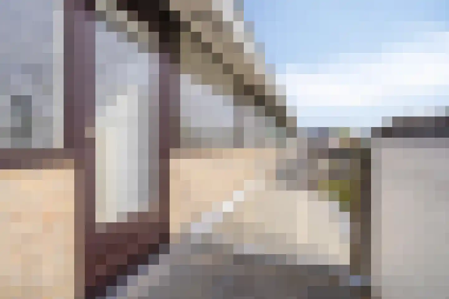 Treubstraat 29 Assen thumbnail 35